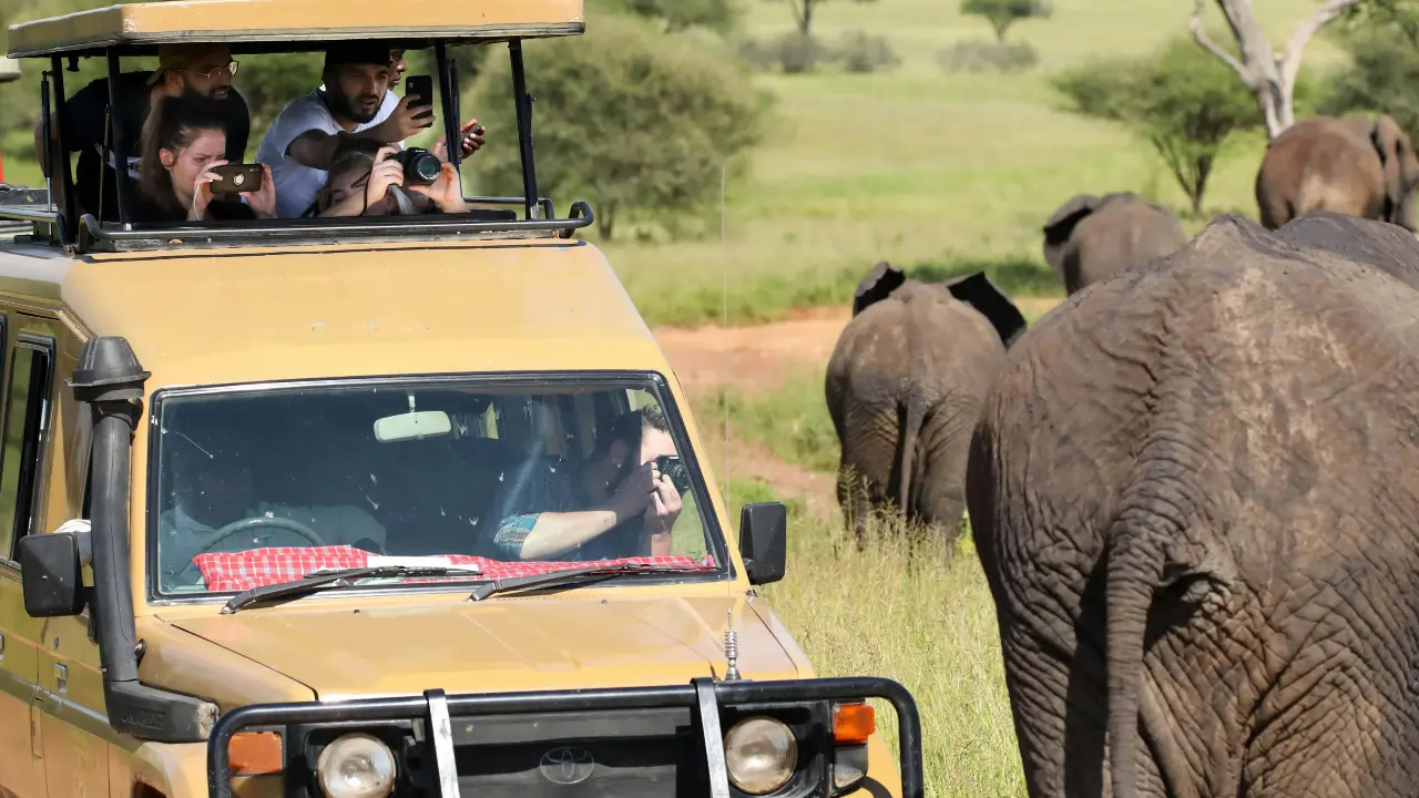 An Overview of Jim Corbett Jeep Safari