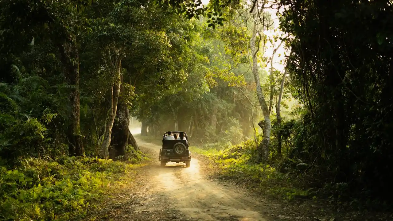 Best Ranthambore Itinerary