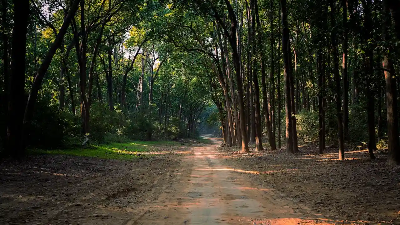 Best Jim Corbett Itinerary