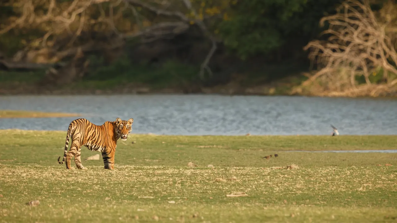 How to reach Jim Corbett from Delhi?
